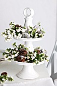 FESTIVE DECORATION WITH GAULTHERIA