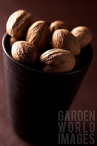 Nutmeg_Mace_Myristica_fragrans_Mass_of_brown_coloured_spice_in_cup