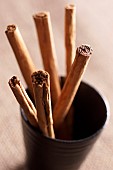 Cinnamon, Cinnamomum verum, Studio shot of dried spice in cup.