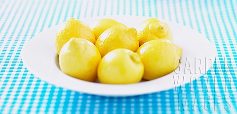 Lemon_Citrus_limon_Mass_of_yellow_coloured_fruit_in_white_bowl