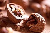 Walnut, Juglans regia, Studio shot of open nut.