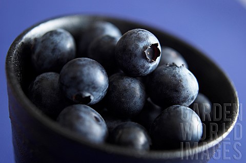 Blueberry_Vaccinium_corymbosum_Black_coloured_fruit_in_a_bowl