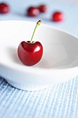 Cherry, Prunus, Single red cherry in white bowl.