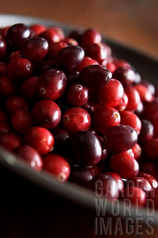 Cranberry_Vaccinium_oxycoccos_Mass_of_red_coloured_berries_in_bowl