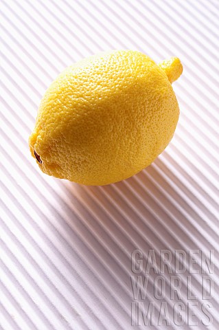 Lemon_Citrus_limon_Studio_shot_of_yellow_coloured_fruit