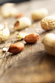 Peanut, Arachis hypogaea, Studio  shot of shelled nuts.