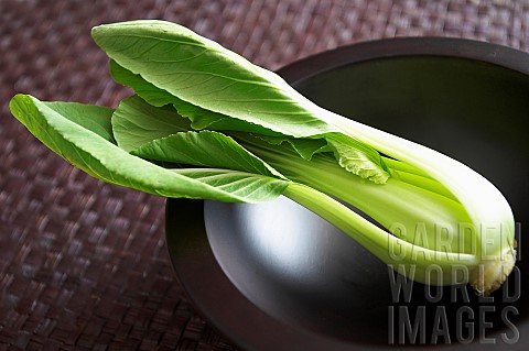 Chinese_leaf_Pe_Tsai_Brassica_pekinensis_Studio_shot_of_green_coloured_vegatable_in_bowl