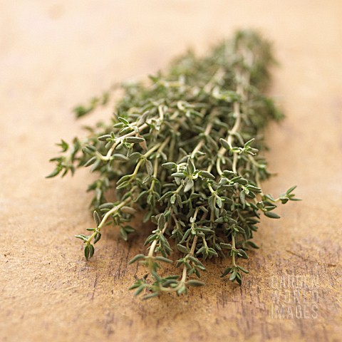 THYMUS_VULGARIS_THYME