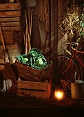 Cabbage, Savoy cabbage, Brassica oleracea subauda, Green vegetable on wooden grate in shed.