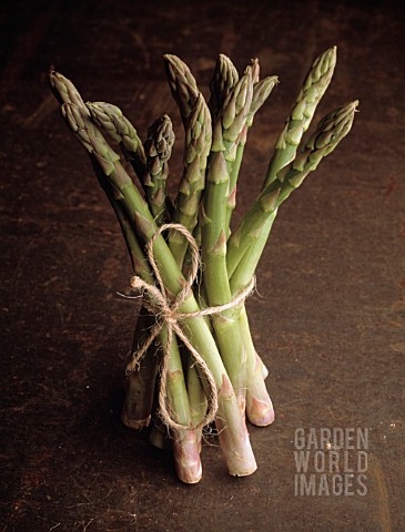 ASPARAGUS_OFFICINALIS_ASPARAGUS