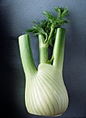 FOENICULUM VULGARE AZORICUM, FENNEL BULB, FLORENCE FENNEL