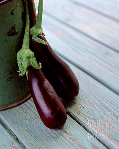 SOLANUM_MELONGENA_AUBERGINE