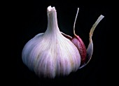 ALLIUM SATIVUM, GARLIC