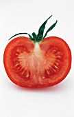 LYCOPERSICON ESCULENTUM, TOMATO