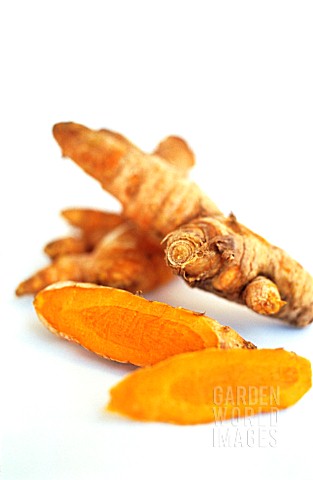 CURCUMA_LONGA_TURMERIC