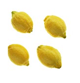 CITRUS LIMON, LEMON