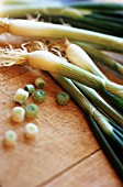 ALLIUM CEPA, ONION - SPRING ONION