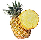 ANANAS COMOSUS, PINEAPPLE