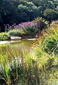 SUMMER POND WITH BOAT