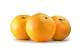 CITRUS PARADISI, GRAPEFRUIT