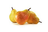 PYRUS COMMUNIS, PEAR