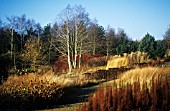 BRONZED AUTUMN BORDERS