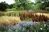 ASTILBE, ASTILBE