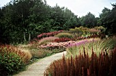 ASTILBE, ASTILBE