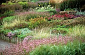 PERSICARIA AMPLEXICAULIS ROSEA, WITHIN MIXED PRAIRIE STYLE GARDEN