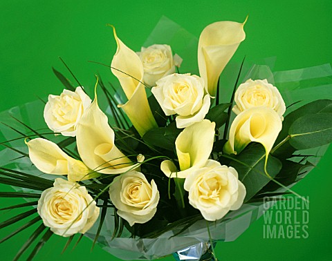 YELLOW_FLOWERS_IN_VASE_GREEN_BACKGROUND