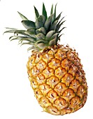 ANANAS COMOSUS, PINEAPPLE