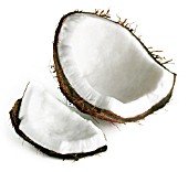 COCOS NUCIFERA, COCONUT