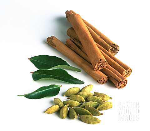 CINNAMOMUM_VERUM_CINNAMON