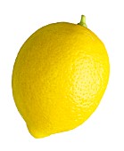 CITRUS LIMON, LEMON