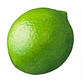 CITRUS AURANTIIFOLIA, LIME