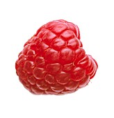 RUBUS IDAEUS, RASPBERRY