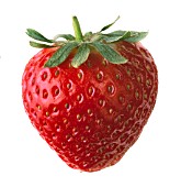 FRAGARIA, STRAWBERRY