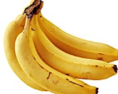 MUSA, BANANA