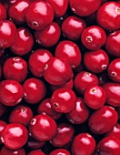 VACCINIUM OXYCOCCOS, CRANBERRY