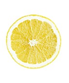 CITRUS LIMON, LEMON