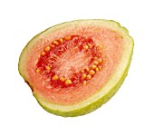 PSIDIUM GUAJAVA, GUAVA