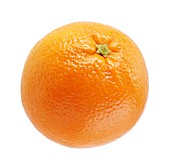 CITRUS SINENSIS, ORANGE