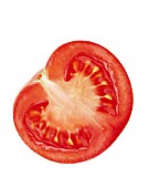 LYCOPERSICON ESCULENTUM, TOMATO