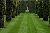 CONIFERS AND LAWN