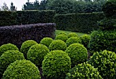 BUXUS, BOX