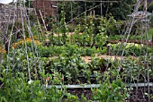 ALLOTMENT VIEW