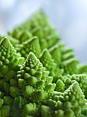 BRASSICA OLERACEA, ROMANESCO