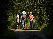 CHILDREN SUPERVISED ON WOODLAND WALK