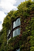 GREEN (LIVING) WALL OF BUILDING