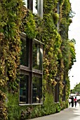 GREEN (LIVING) WALL OF BUILDING